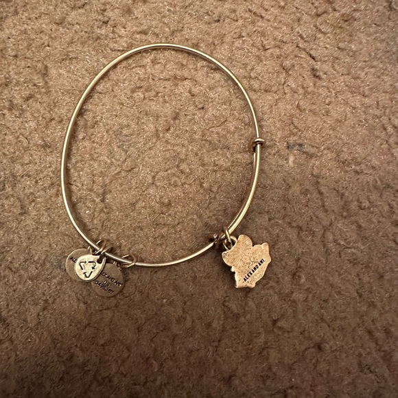 Alex and ani bracelet! Like new! - Picture 3 of 3